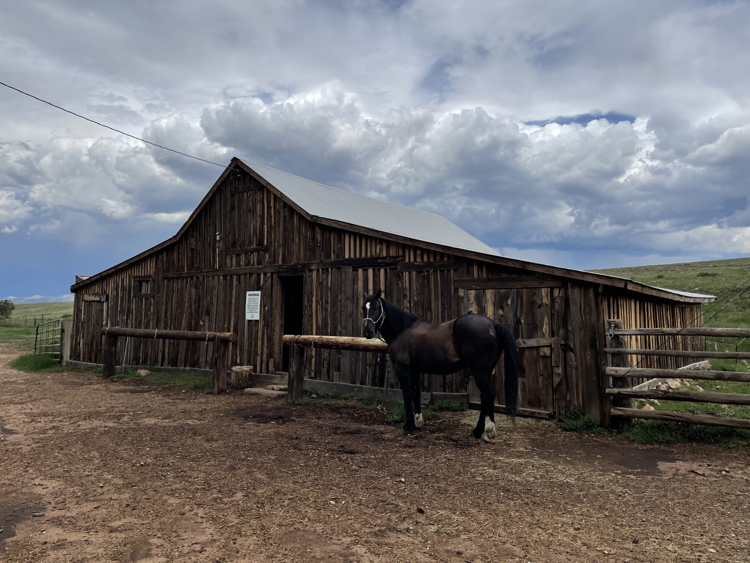 horse and barn in Westcliffe