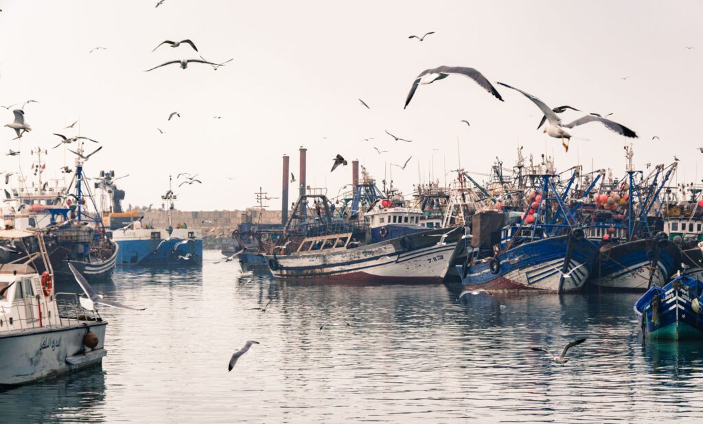 image of boats in water seaside town Essaouira Morocco