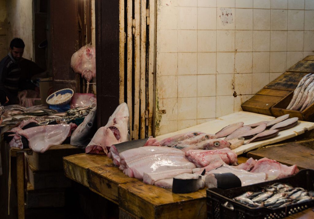 image of fish market in Fez Morocco, editorial photos