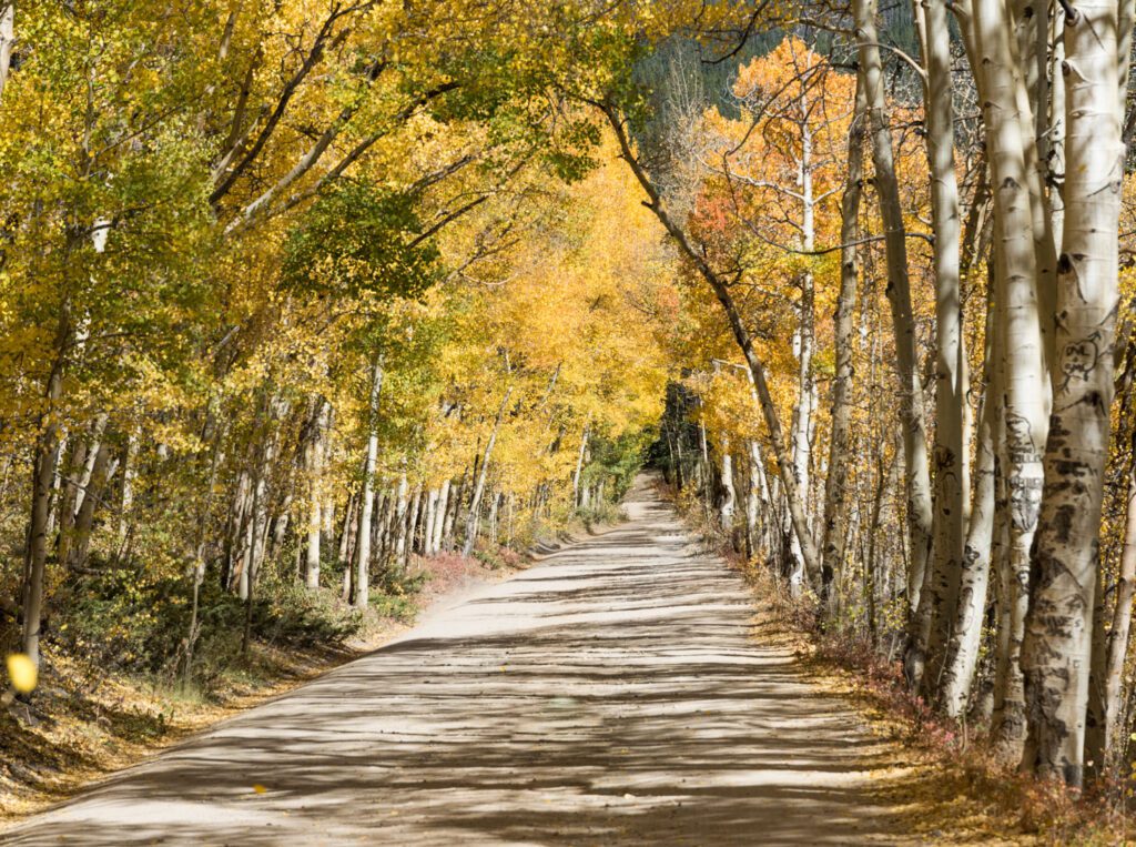 driving Boreas Pass in the fall