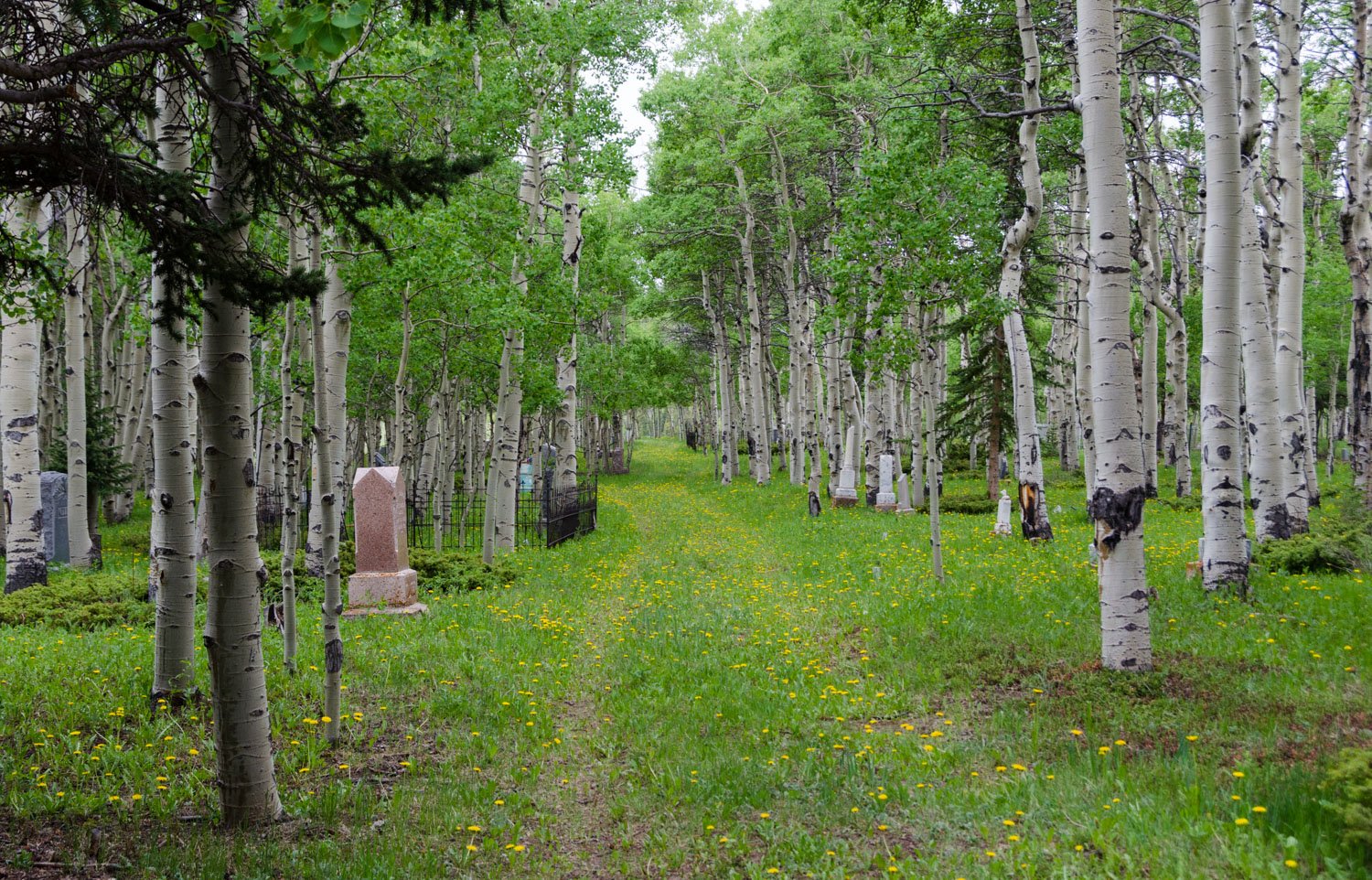 Como graveyard
