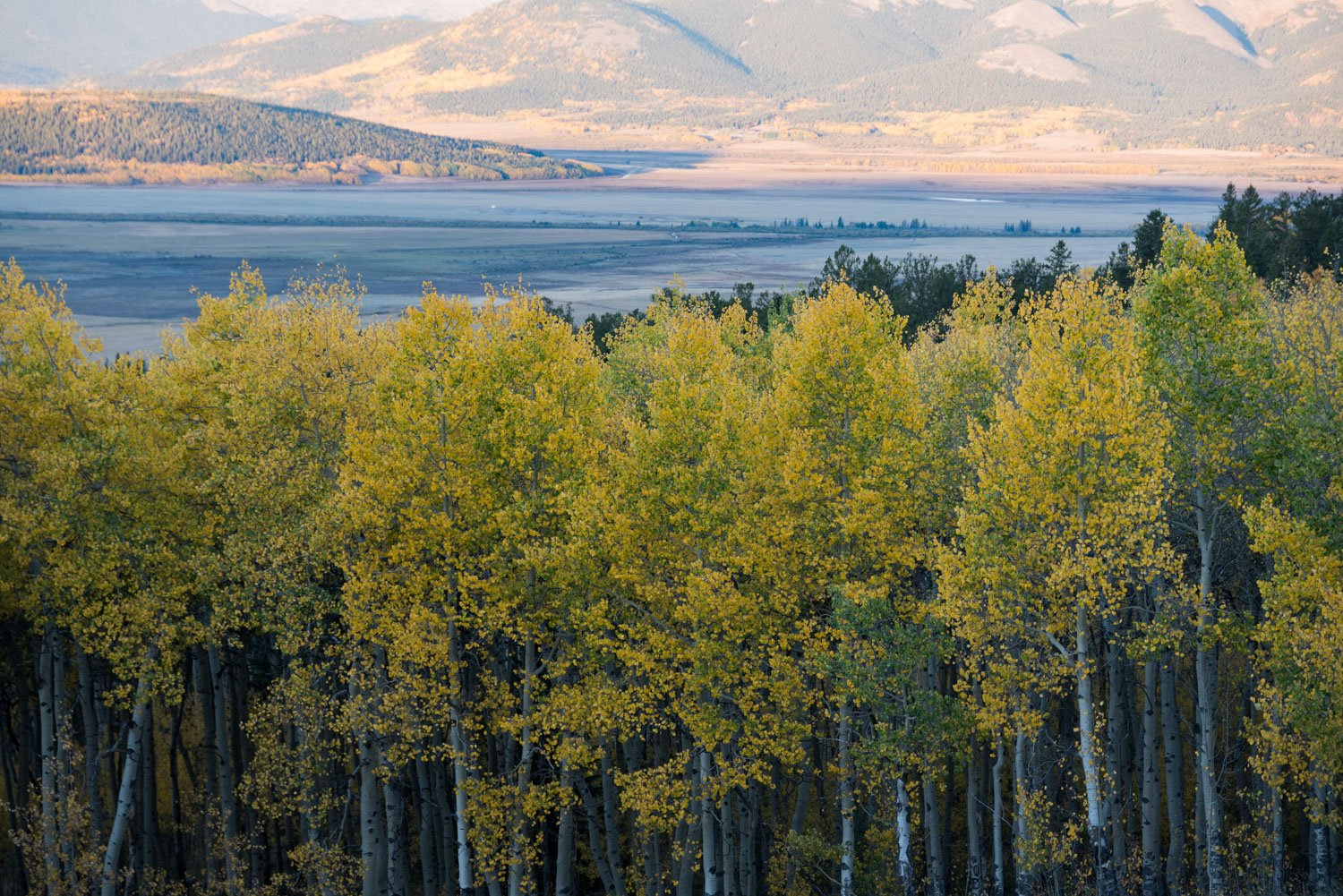 easy day trips from Denver for fall foliage