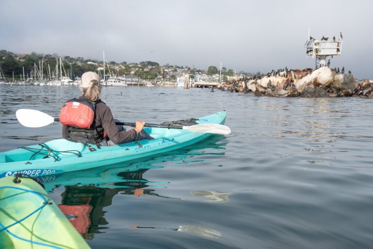 Adventures by the Sea, kayaking in Monterey Bay, spotting marine life in Monterey Bay, California Central Coast, things to do in Monterey County