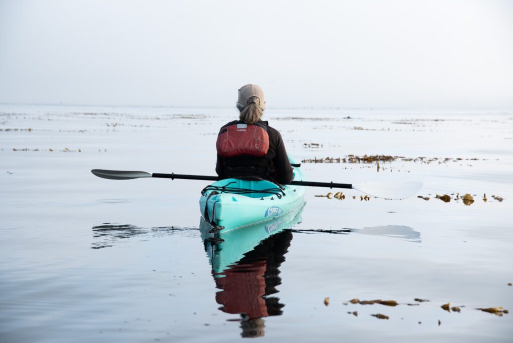 Adventures by the Sea, kayaking in Monterey Bay, spotting marine life in Monterey Bay, California Central Coast, things to do in Monterey County