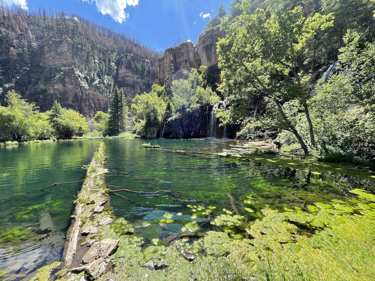 visit hanging lake in Colorado, Hanging Lake with log
