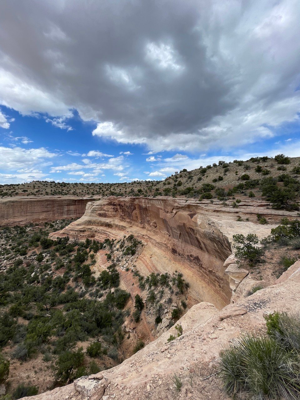 Mee Canyon Colorado