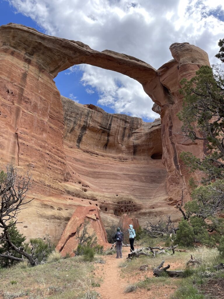 where are the rattlesnake canyon arches, arches in Colorado