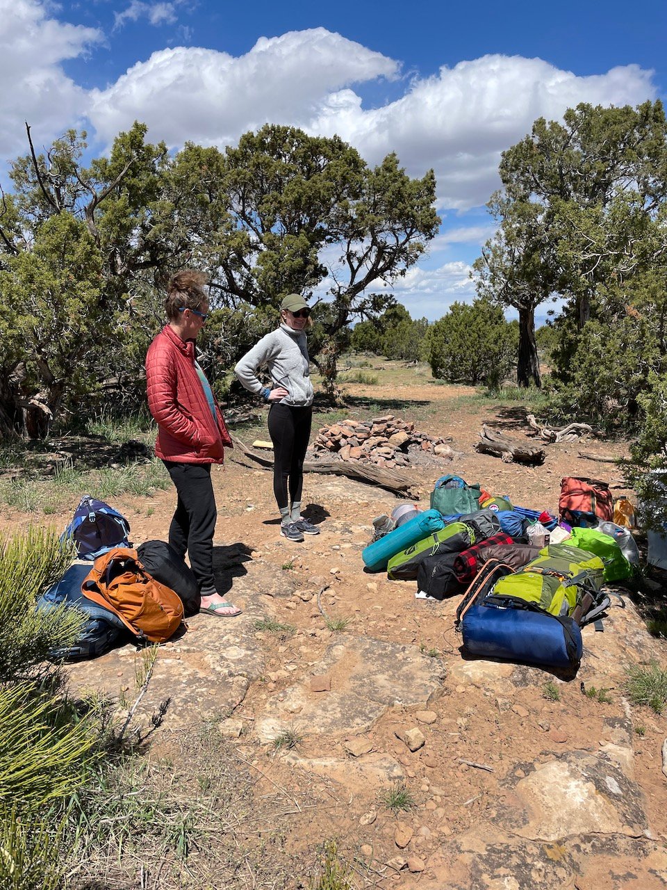 camping near Rattlesnake Canyon Colorado