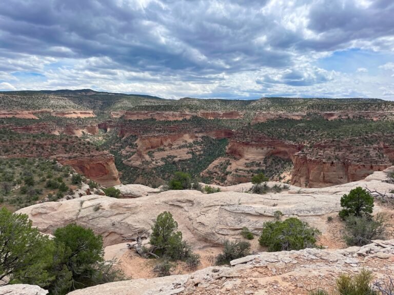 Rattlesnake Canyon Colorado