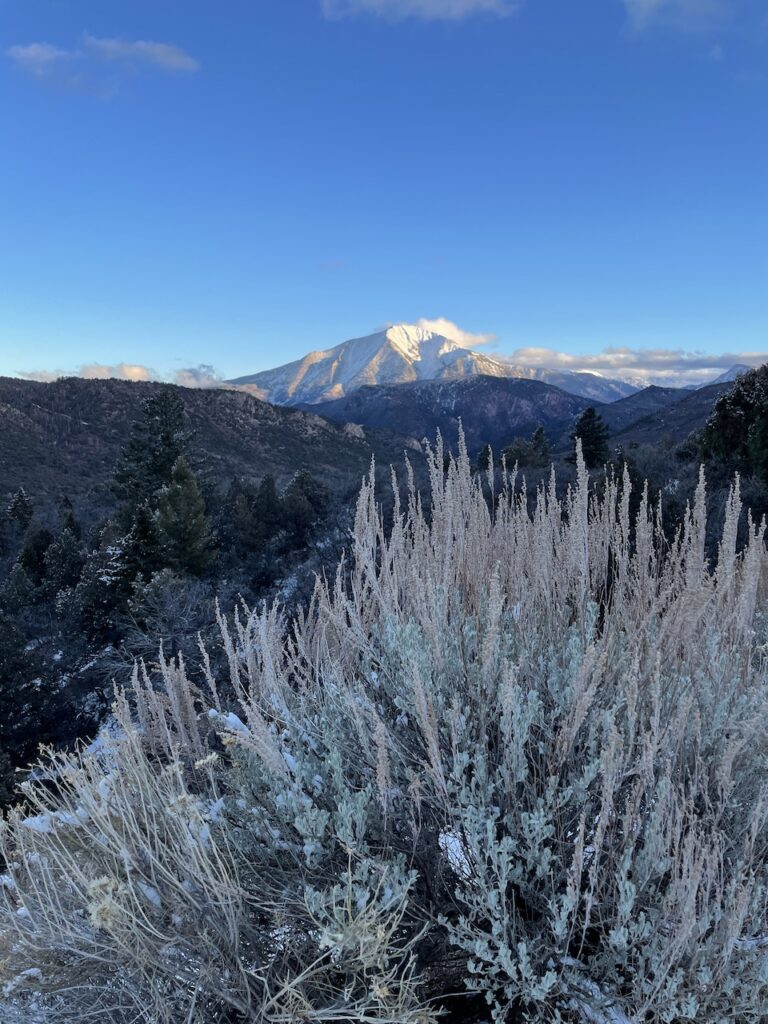 hiking in carbondale colorado, lorax trail