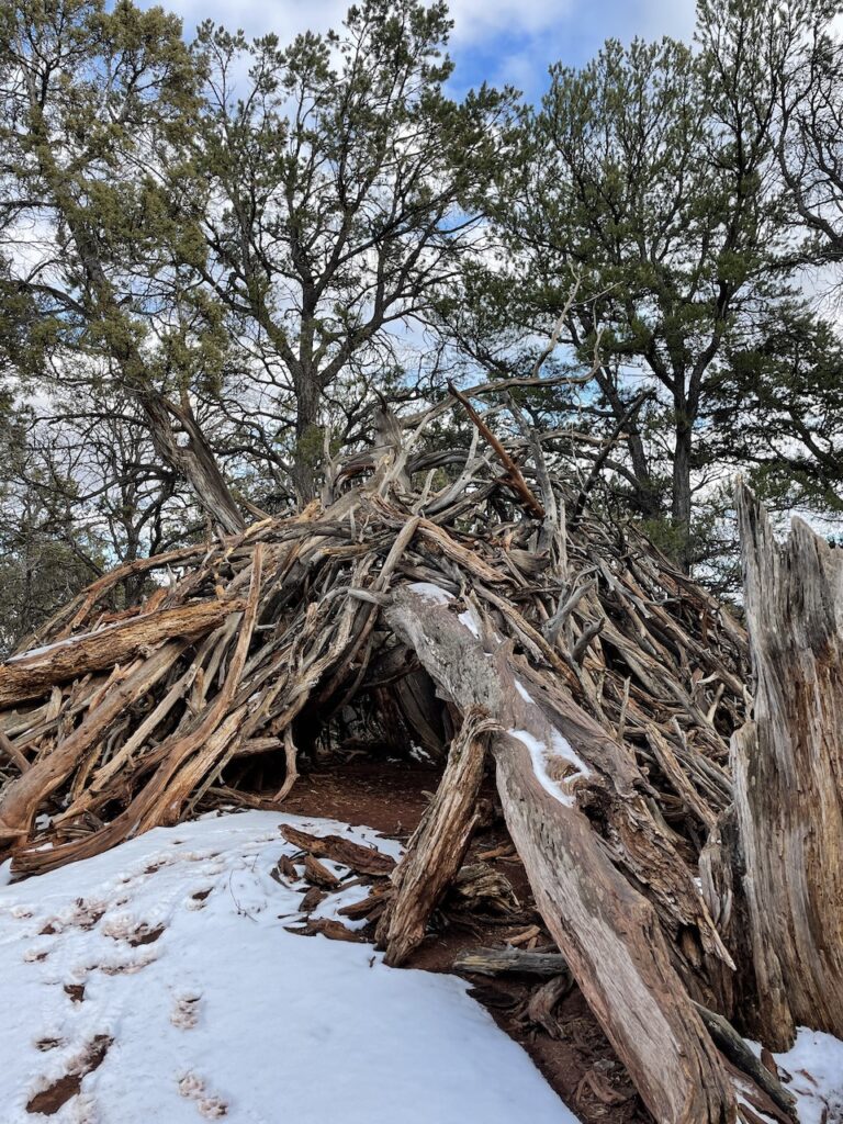 lorax trail, hiking in carbondale colorado