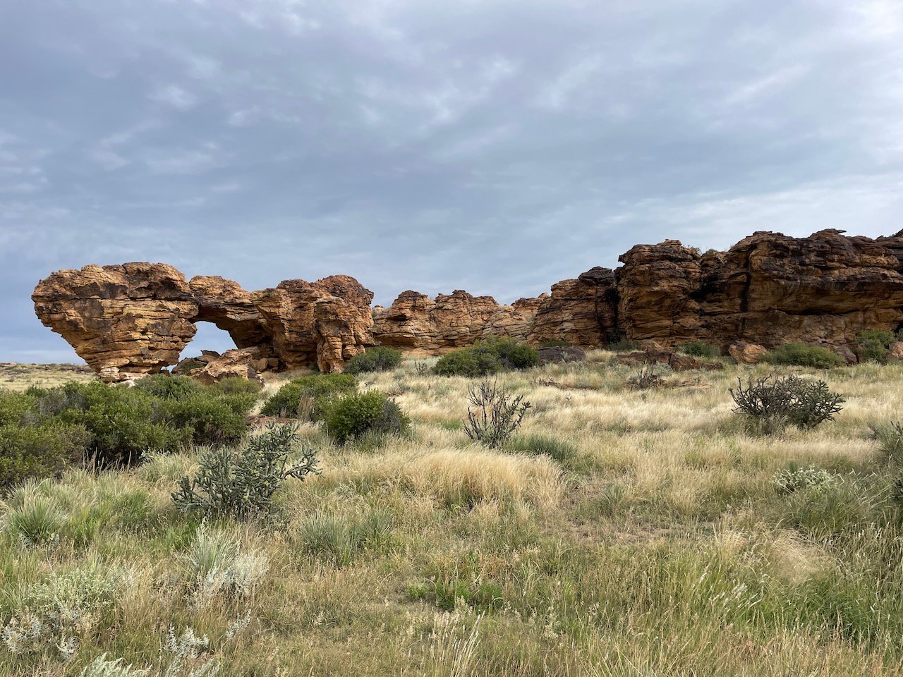 carrizo canyon in Colorado