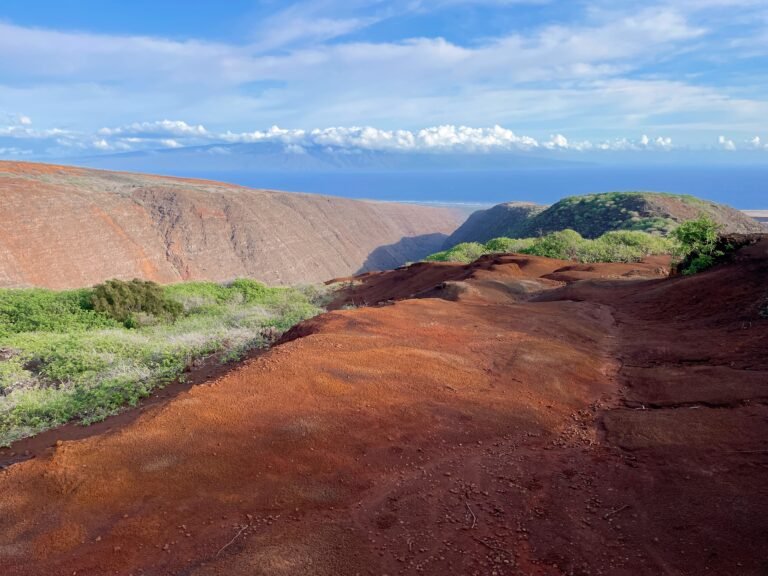 what to do on lanai