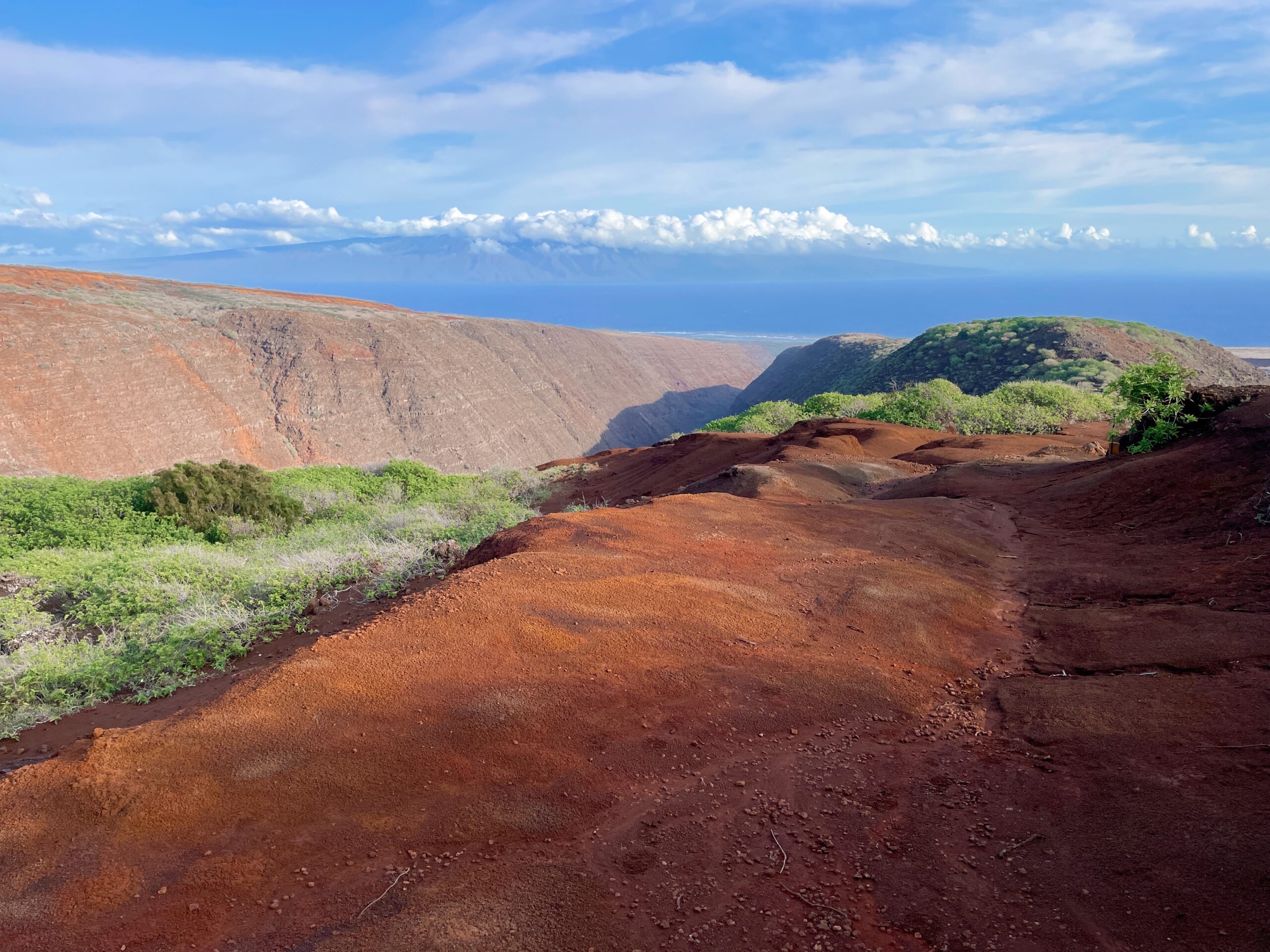 what to do on lanai