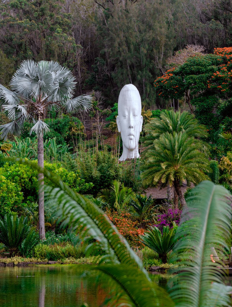 what to do on Lanai