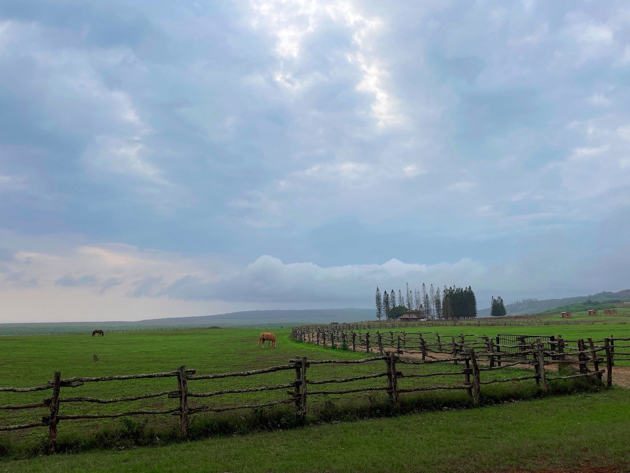 what to do on Lanai