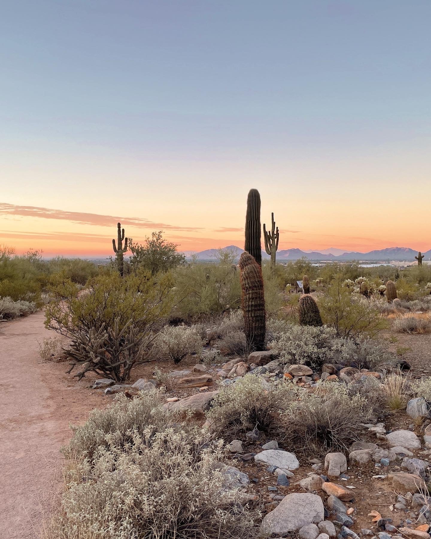 hiking in Scottsdale, Scottsdale in winter