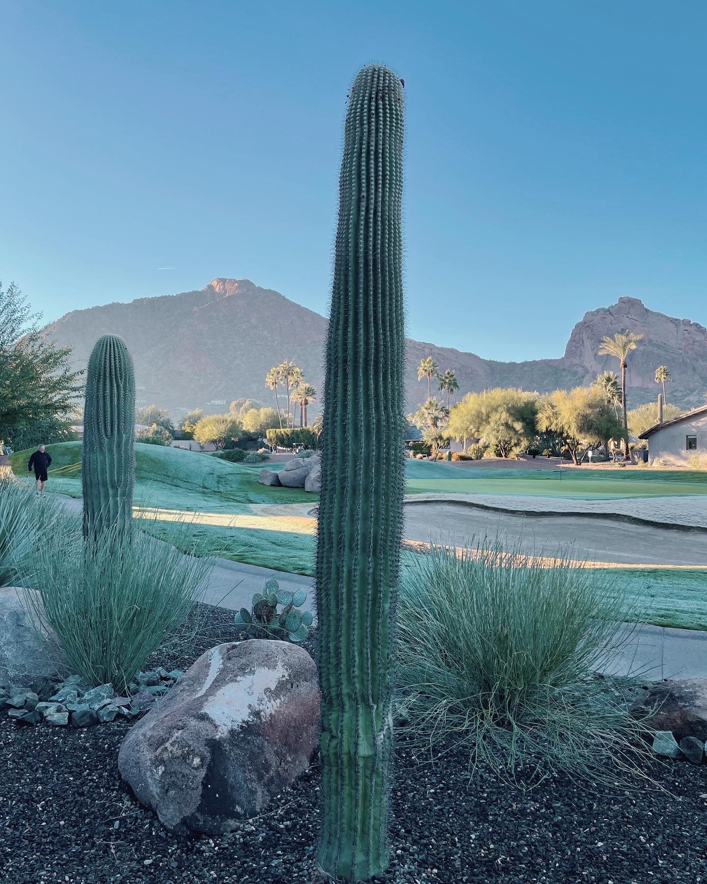 mountain shadows resort, Scottsdale in winter
