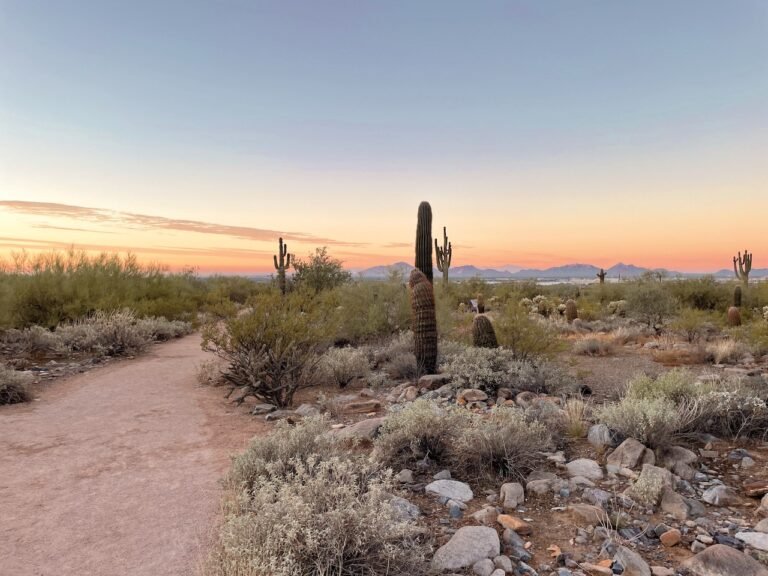Scottsdale in winter