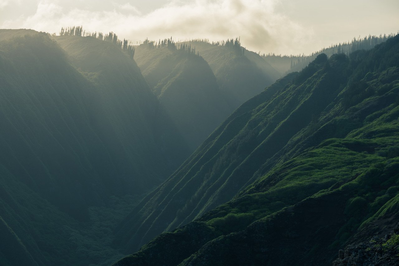 Koloiki Ridge hike