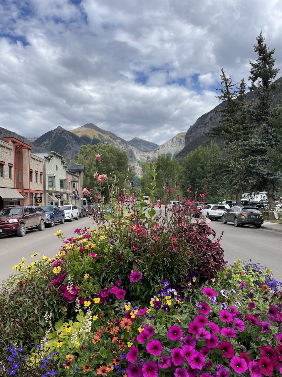 Telluride main street with flowers