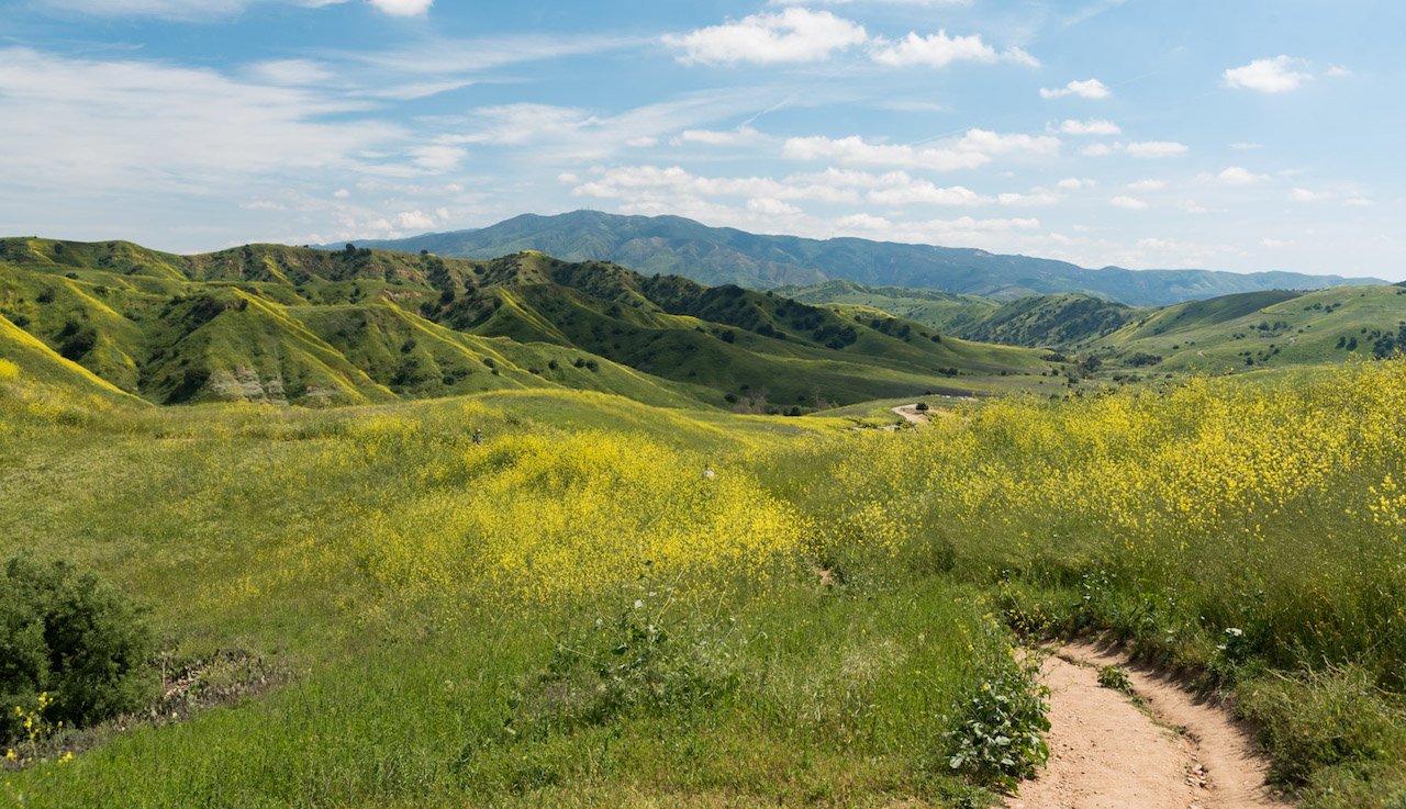 Chino Hills State Park