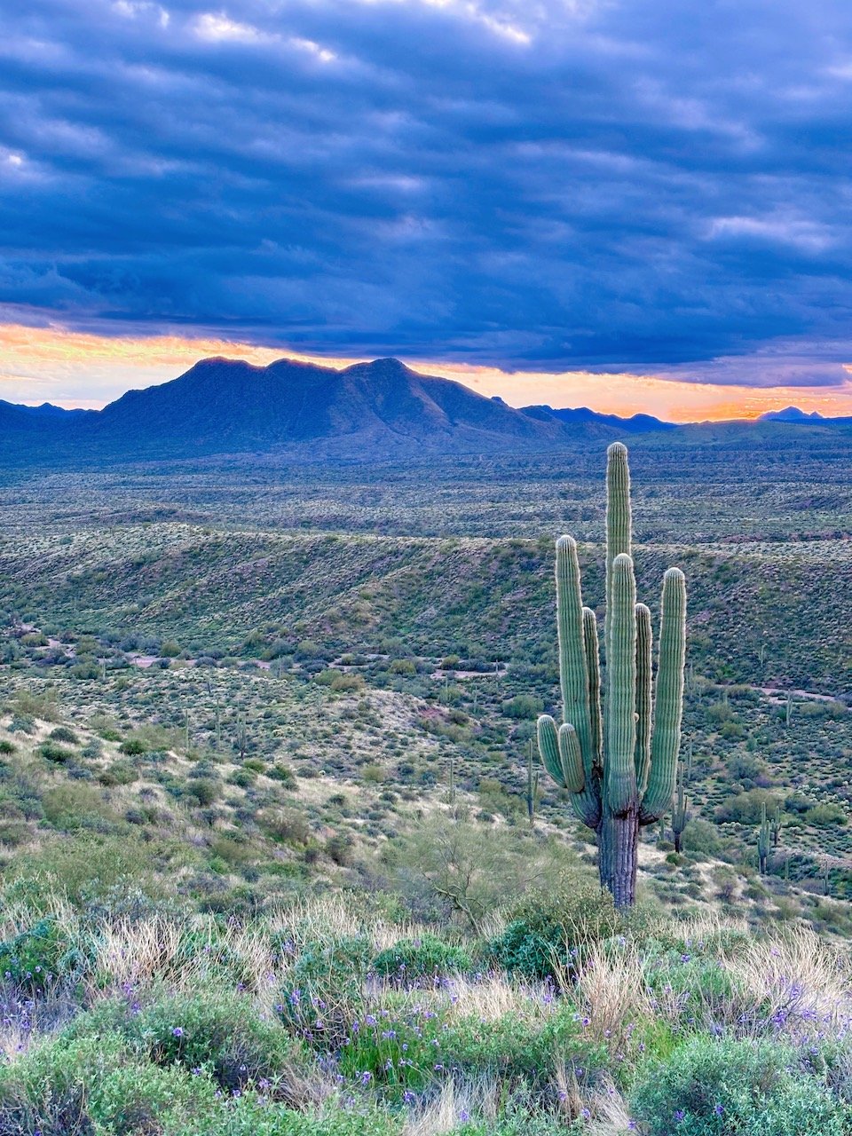 ATV tours in Scottsdale, scenic mountain views