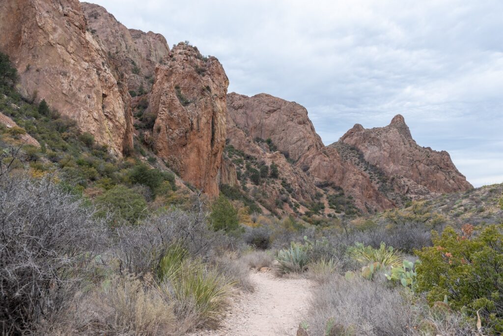 chisos basin, big bend national park