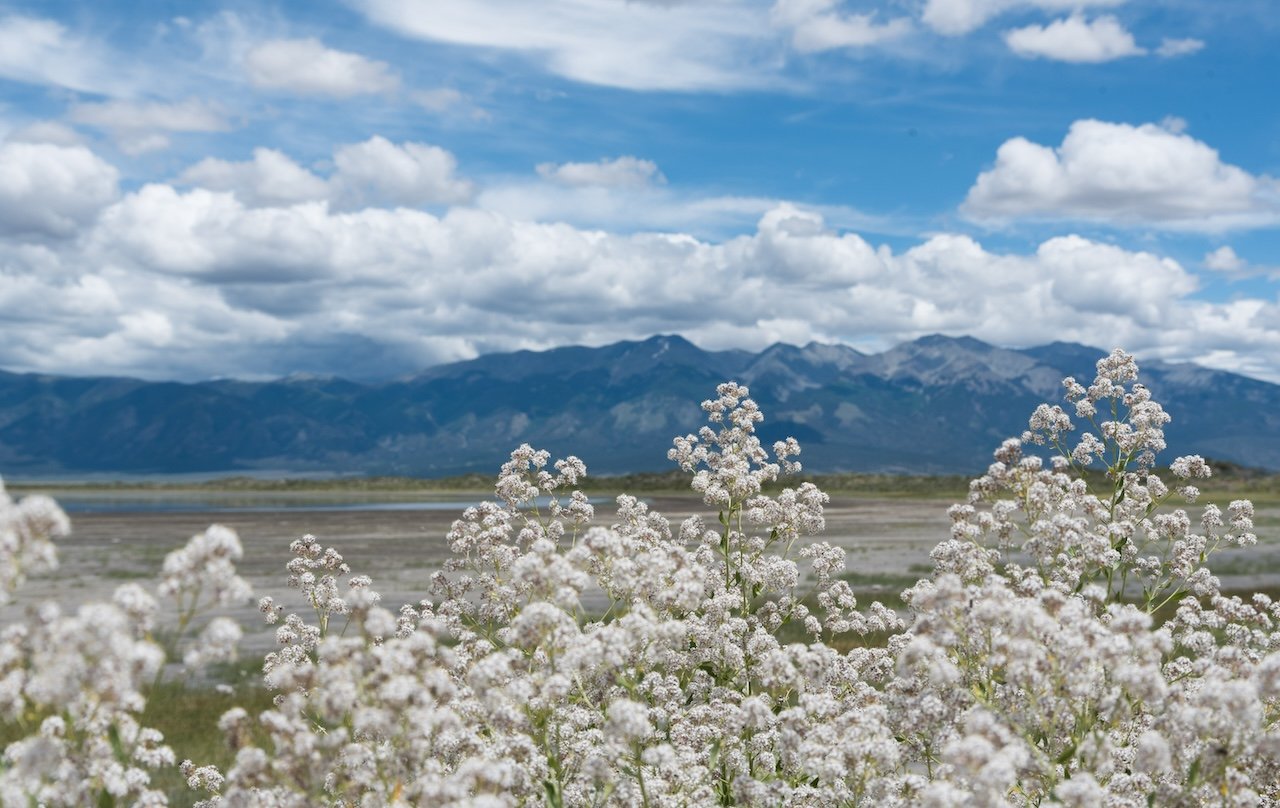 San Luis Lakes wildlife area