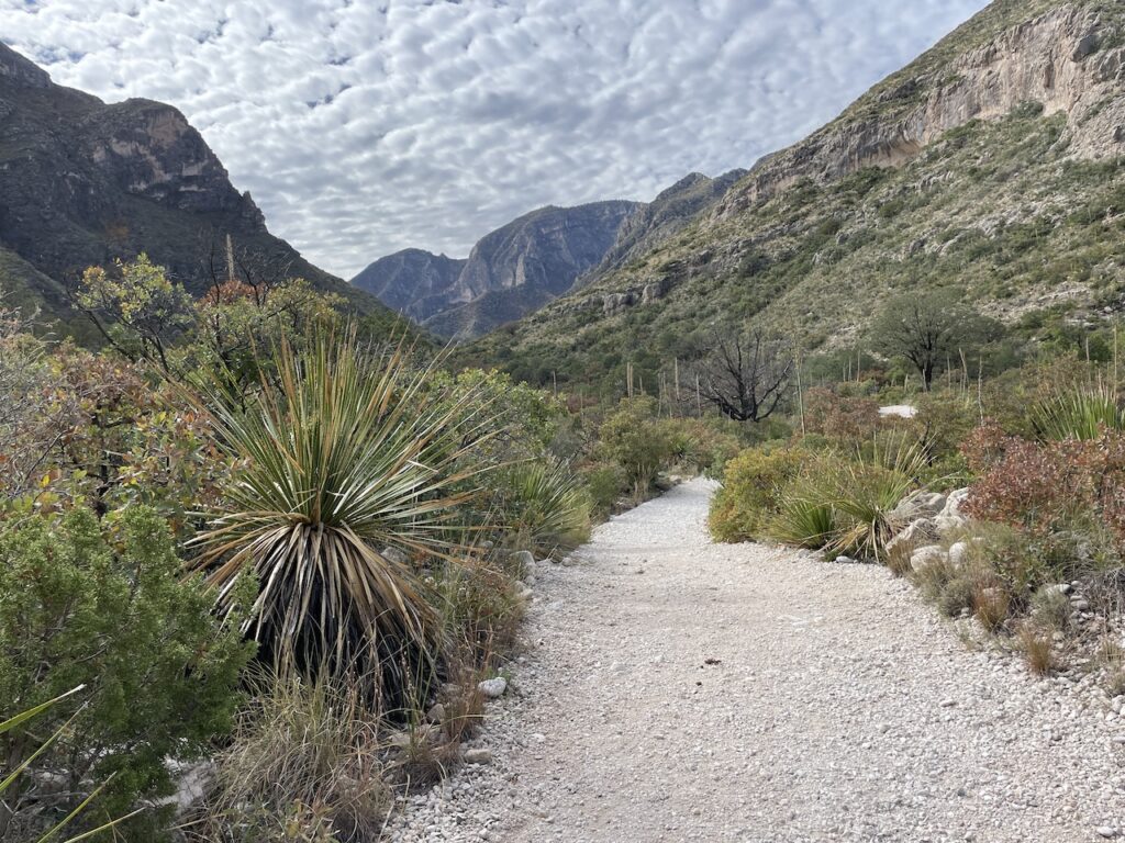 hiking in guadalupe national park