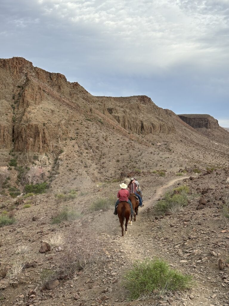 big bend ranch state park