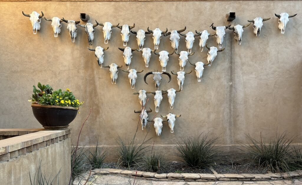 things to do in marathon texas