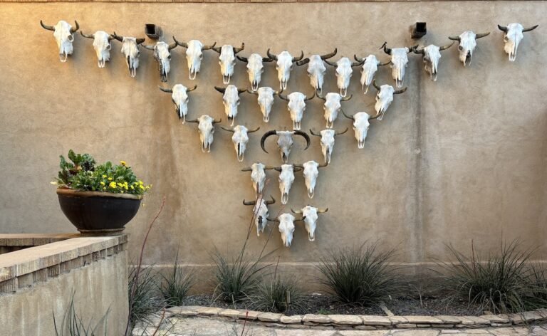 things to do in marathon texas