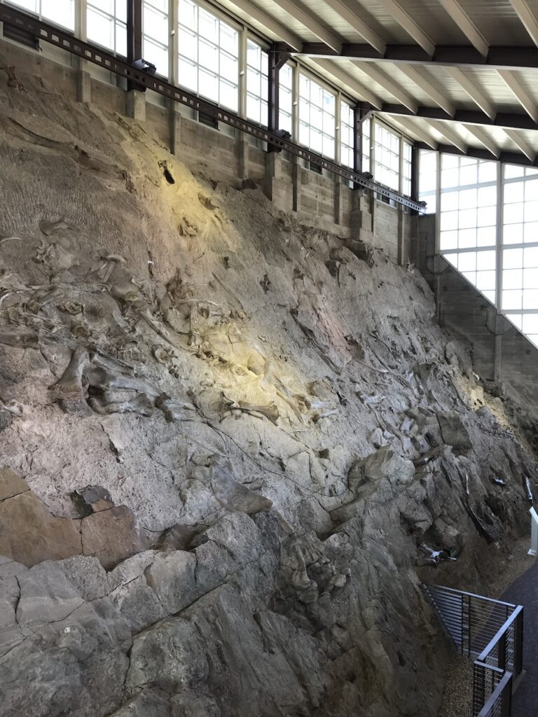 dinosaur national monument quarry exhibit hall