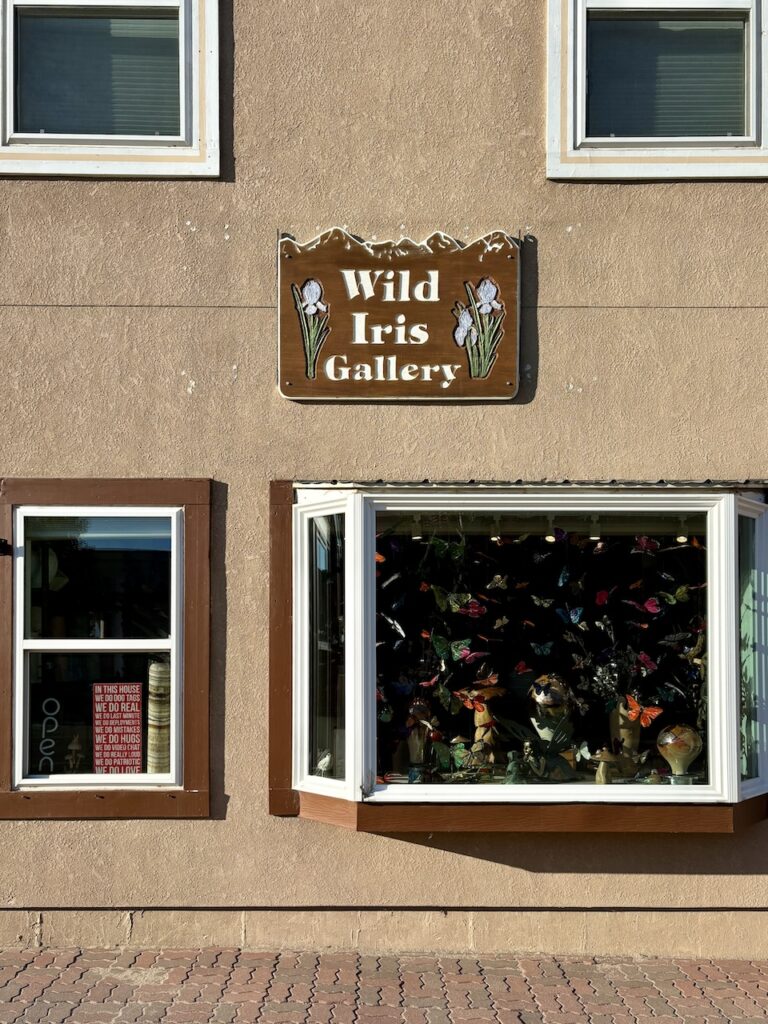 wild iris gallery