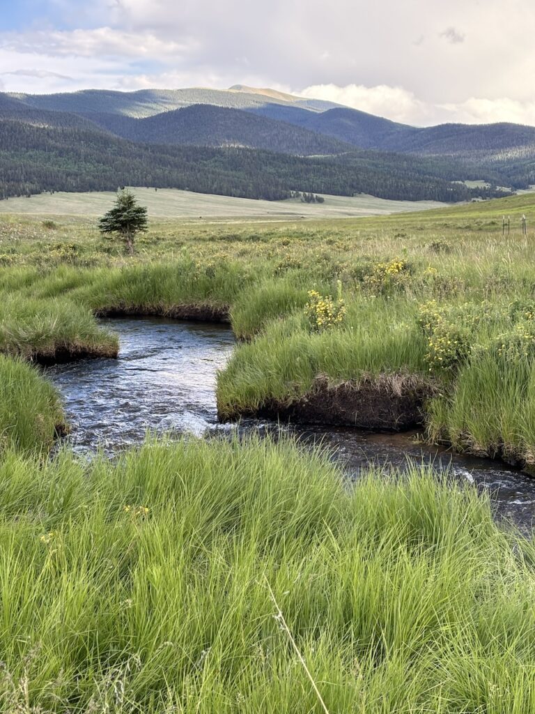 fly fishing vermejo