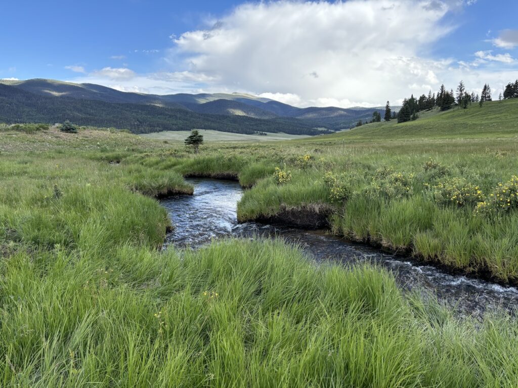 vermejo, ted turner ranch