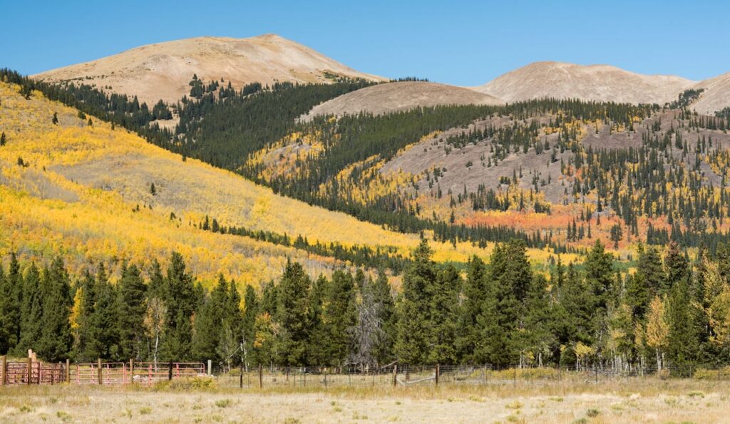 boreas pass colorado