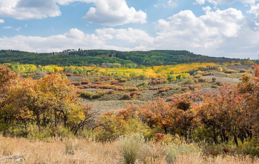 fall colors in colorado