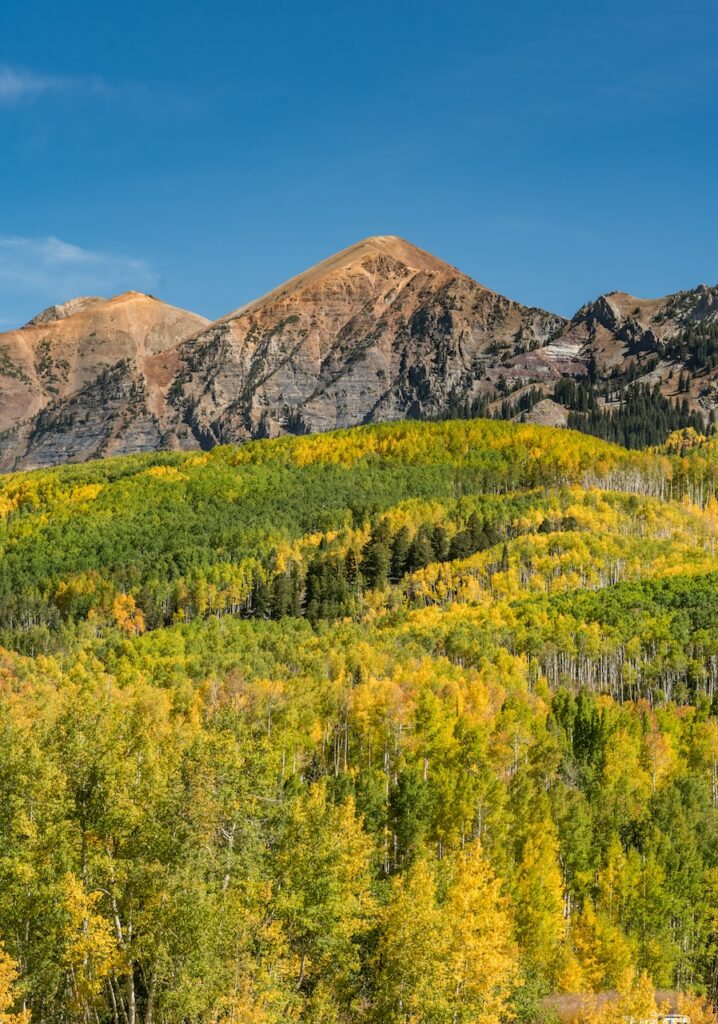 colorado fall colors along kebler pass