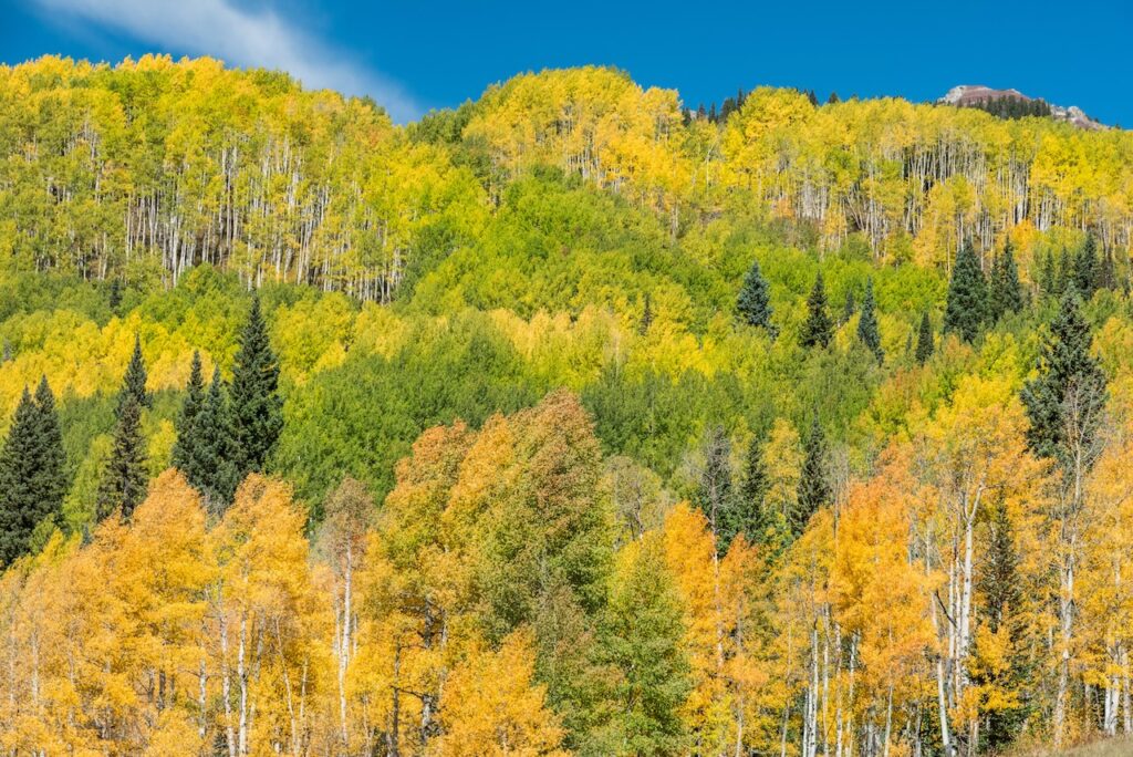 kebler pass near crested butte