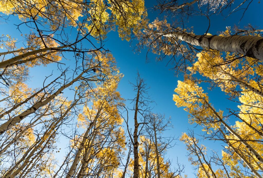 kenosha pass trail