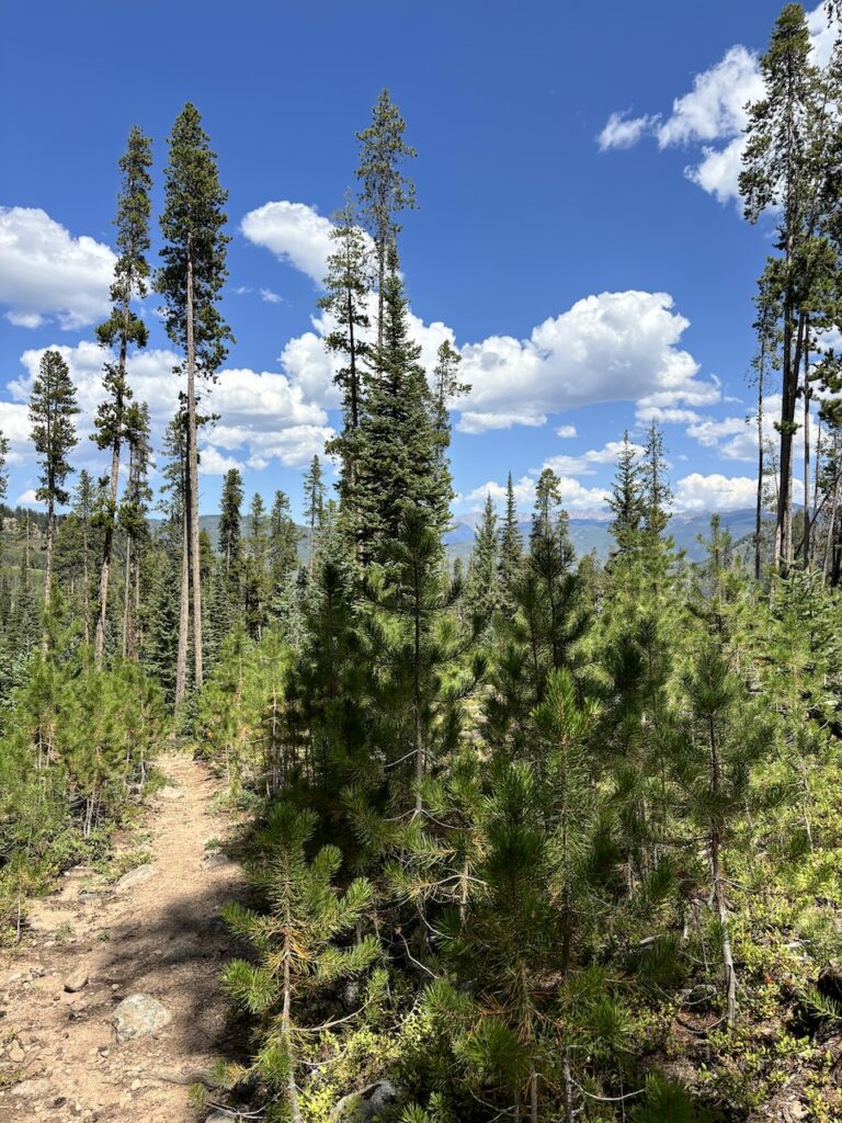 hiking in Minturn, Colorado