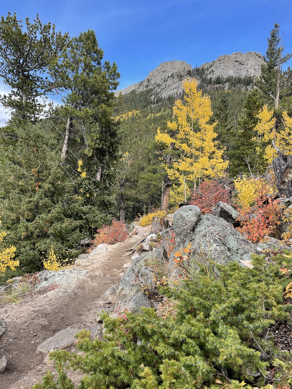 Colorado fall colors at Golden Gate Canyon State Park