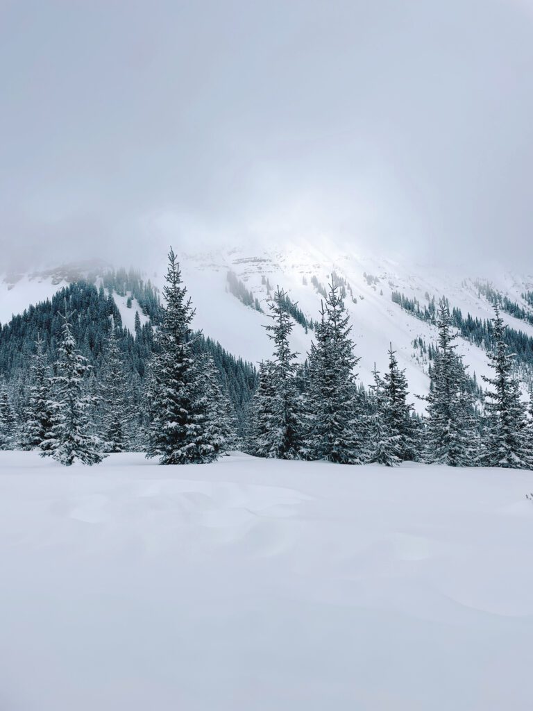 winter in the san juan mountains