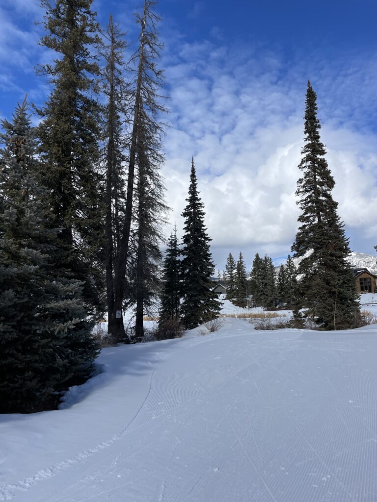 cross country skiing 