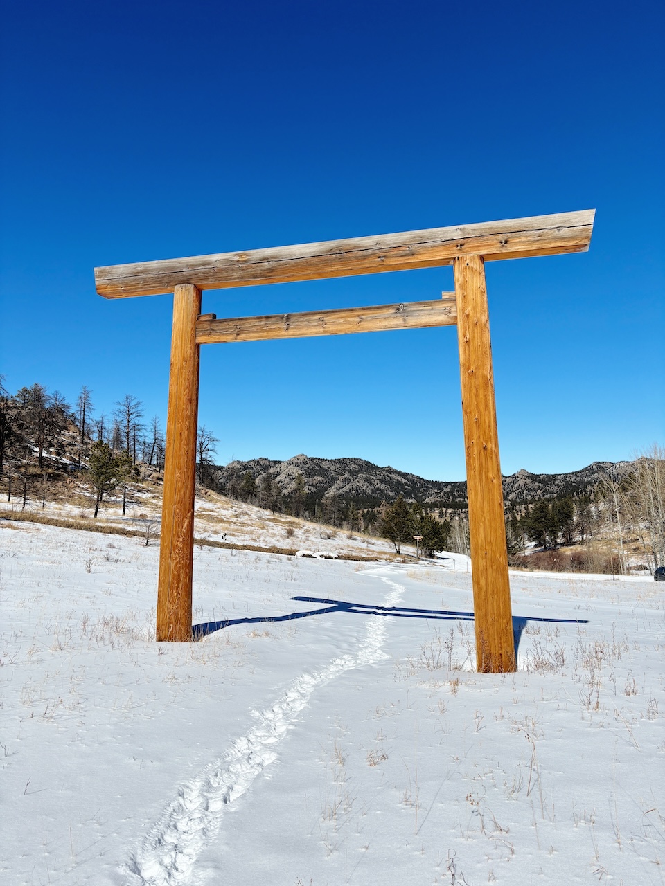 Torii gate at Drala Mountain Center