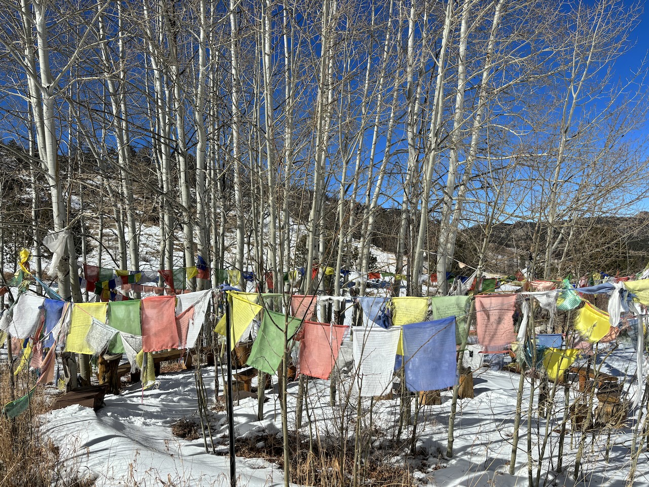 prayer flags at yoga retreat in Colorado