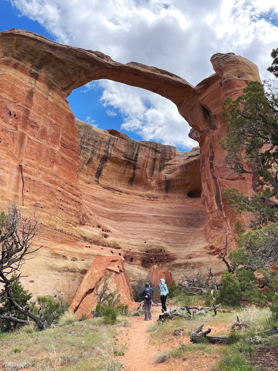 Rattlesnake Canyon Colorado