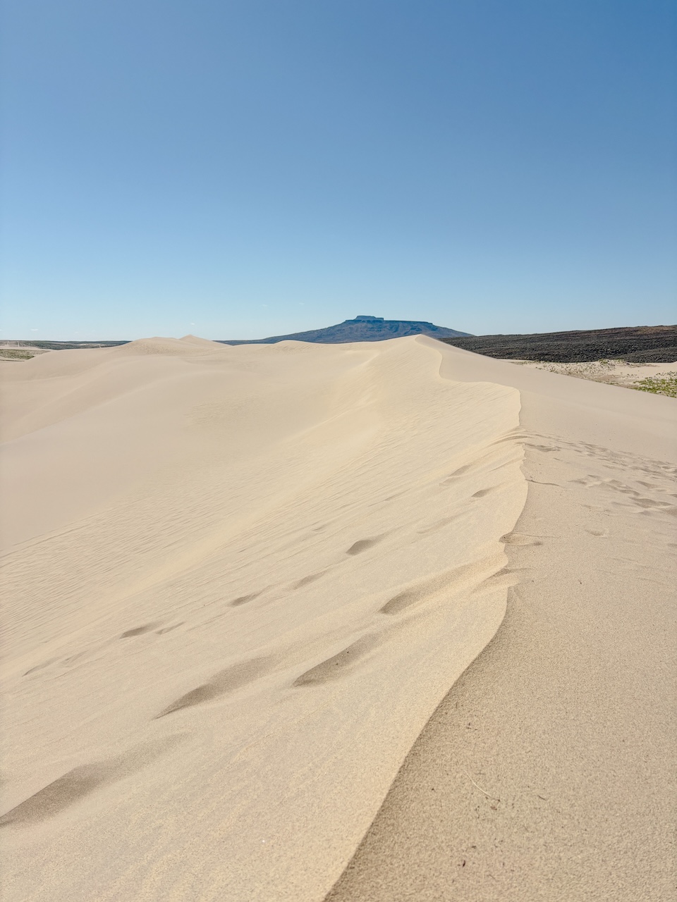 Killpecker Sand Dunes